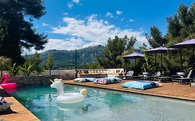 Villa Holistika : Bed And Breakfast / Pool / Air Conditioning/ Mont Faron Toulon