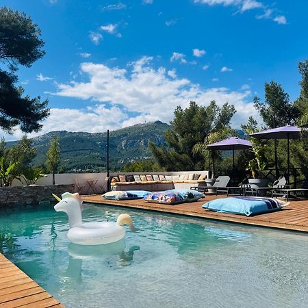 Villa Holistika : Bed And Breakfast / Pool / Air Conditioning/ Mont Faron Toulon Extérieur photo