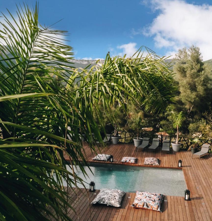 Villa Holistika : Bed And Breakfast / Pool / Air Conditioning/ Mont Faron Toulon Extérieur photo